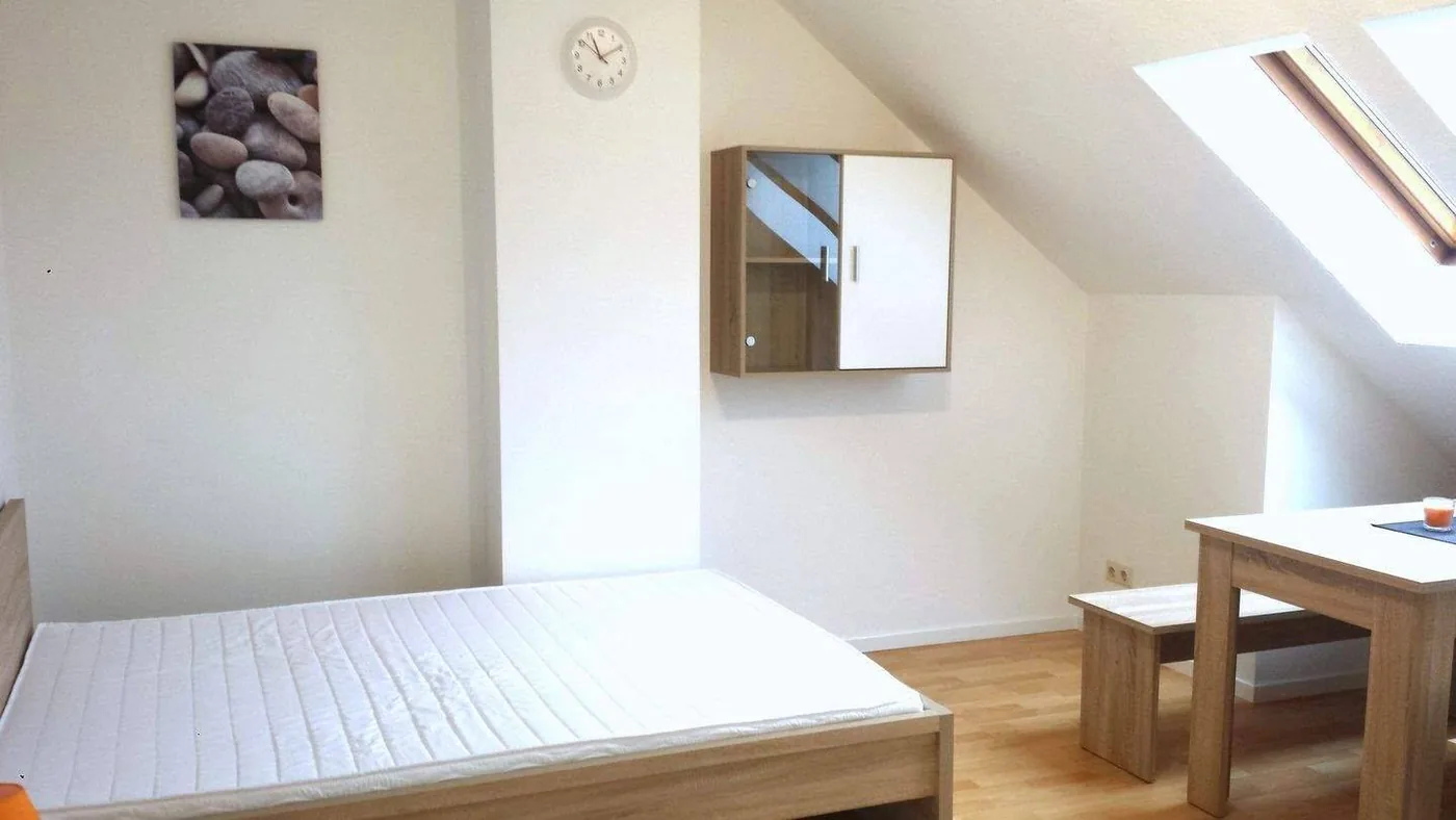 Wohnen-Schlafen, Möblierte 1-Zimmer-Wohnung, 100 m zu Schaeffler